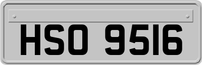 HSO9516