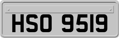 HSO9519