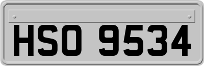 HSO9534