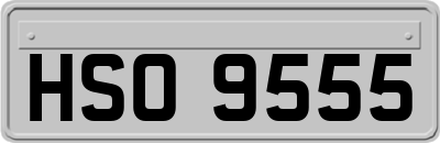 HSO9555