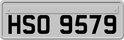 HSO9579