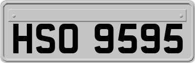 HSO9595