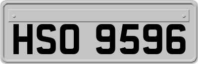 HSO9596