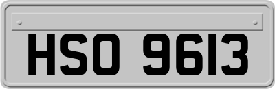 HSO9613