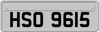HSO9615