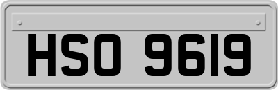 HSO9619