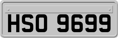 HSO9699