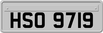 HSO9719