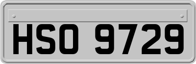 HSO9729