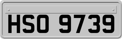 HSO9739