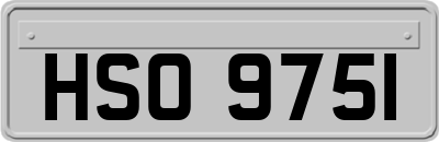 HSO9751