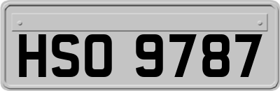 HSO9787