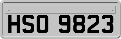 HSO9823