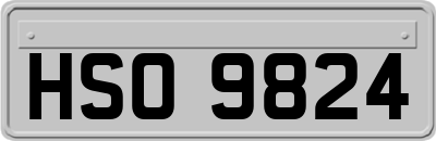 HSO9824