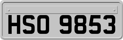HSO9853
