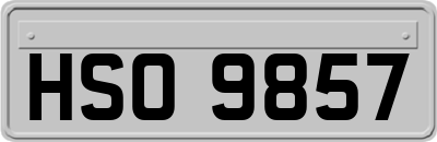 HSO9857