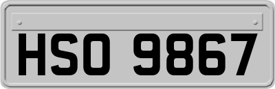 HSO9867