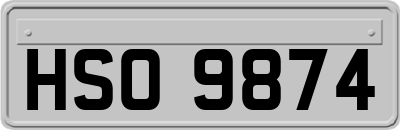 HSO9874