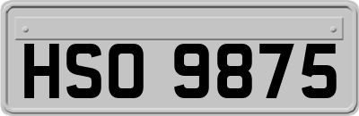 HSO9875