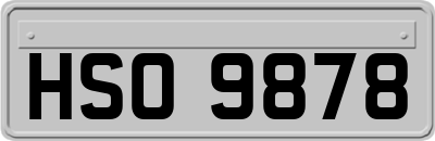 HSO9878