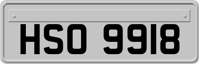 HSO9918
