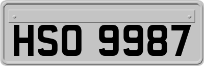 HSO9987