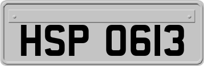 HSP0613