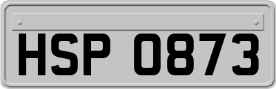 HSP0873