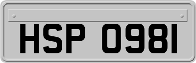 HSP0981