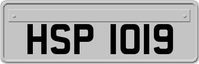 HSP1019