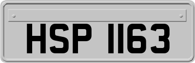 HSP1163
