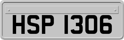 HSP1306