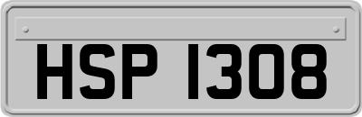 HSP1308