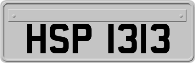 HSP1313