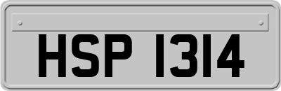 HSP1314