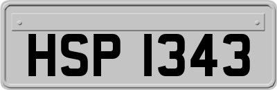 HSP1343