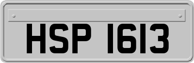 HSP1613