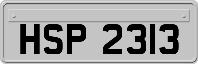 HSP2313