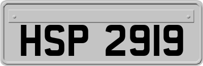 HSP2919