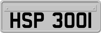 HSP3001