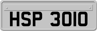HSP3010