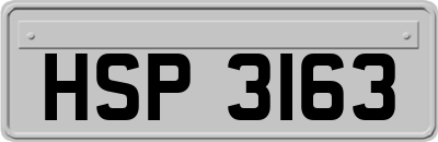 HSP3163