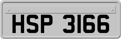 HSP3166