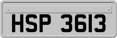 HSP3613