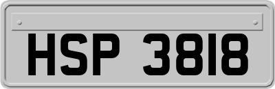 HSP3818