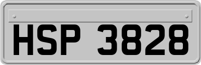 HSP3828