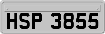 HSP3855