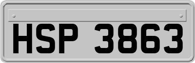 HSP3863