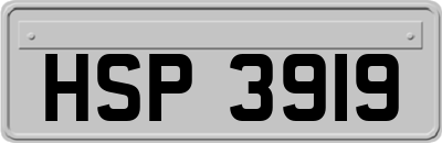 HSP3919