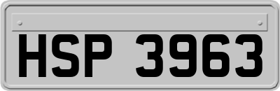 HSP3963